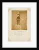 The young Prince Arthur by Roger Fenton