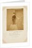 The young Prince Arthur by Roger Fenton