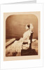 Queen Victoria by Roger Fenton