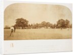 A Cricket Match by Roger Fenton