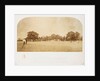 A Cricket Match by Roger Fenton