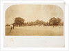 A Cricket Match by Roger Fenton