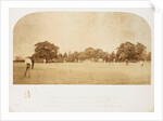A Cricket Match by Roger Fenton