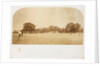 A Cricket Match by Roger Fenton