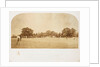 A Cricket Match by Roger Fenton