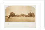 A Cricket Match by Roger Fenton