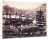 Cossack Bay by Roger Fenton