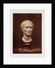 Julius Caesar by Roger Fenton