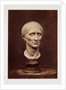 Julius Caesar by Roger Fenton