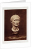 Julius Caesar by Roger Fenton
