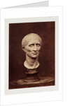 Julius Caesar by Roger Fenton