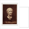 Julius Caesar by Roger Fenton