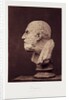 Diogenes by Roger Fenton