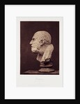 Diogenes by Roger Fenton