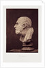 Diogenes by Roger Fenton