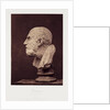 Diogenes by Roger Fenton