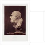 Diogenes by Roger Fenton