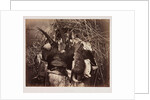 Fur and Feathers by Roger Fenton