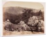 Junction of the Lledr and Conway by Roger Fenton