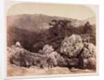 Junction of the Lledr and Conway by Roger Fenton