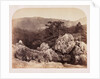 Junction of the Lledr and Conway by Roger Fenton