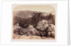 Junction of the Lledr and Conway by Roger Fenton