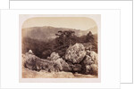 Junction of the Lledr and Conway by Roger Fenton