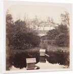 Breeding Pool by Roger Fenton