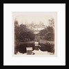 Breeding Pool by Roger Fenton