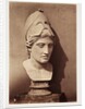 Head of Minerva by Roger Fenton