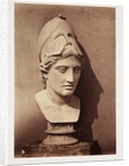 Head of Minerva by Roger Fenton