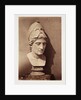 Head of Minerva by Roger Fenton