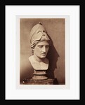 Head of Minerva by Roger Fenton