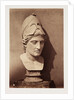 Head of Minerva by Roger Fenton
