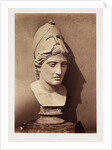 Head of Minerva by Roger Fenton