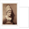 Head of Minerva by Roger Fenton