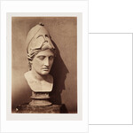 Head of Minerva by Roger Fenton