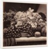 Flowers and Fruit by Roger Fenton