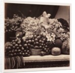 Flowers and Fruit by Roger Fenton