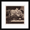 Flowers and Fruit by Roger Fenton