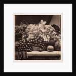 Flowers and Fruit by Roger Fenton
