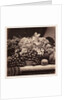 Flowers and Fruit by Roger Fenton