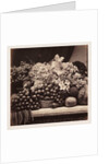 Flowers and Fruit by Roger Fenton