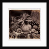 Still life of fruit by Roger Fenton