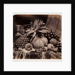 Still life of fruit by Roger Fenton