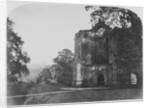 Bolton Abbey by Roger Fenton