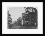 Bolton Abbey by Roger Fenton