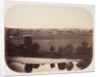 Valley of the Ribble by Roger Fenton