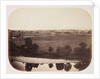 Valley of the Ribble by Roger Fenton