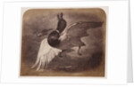 Painting of a duck in flight by Roger Fenton